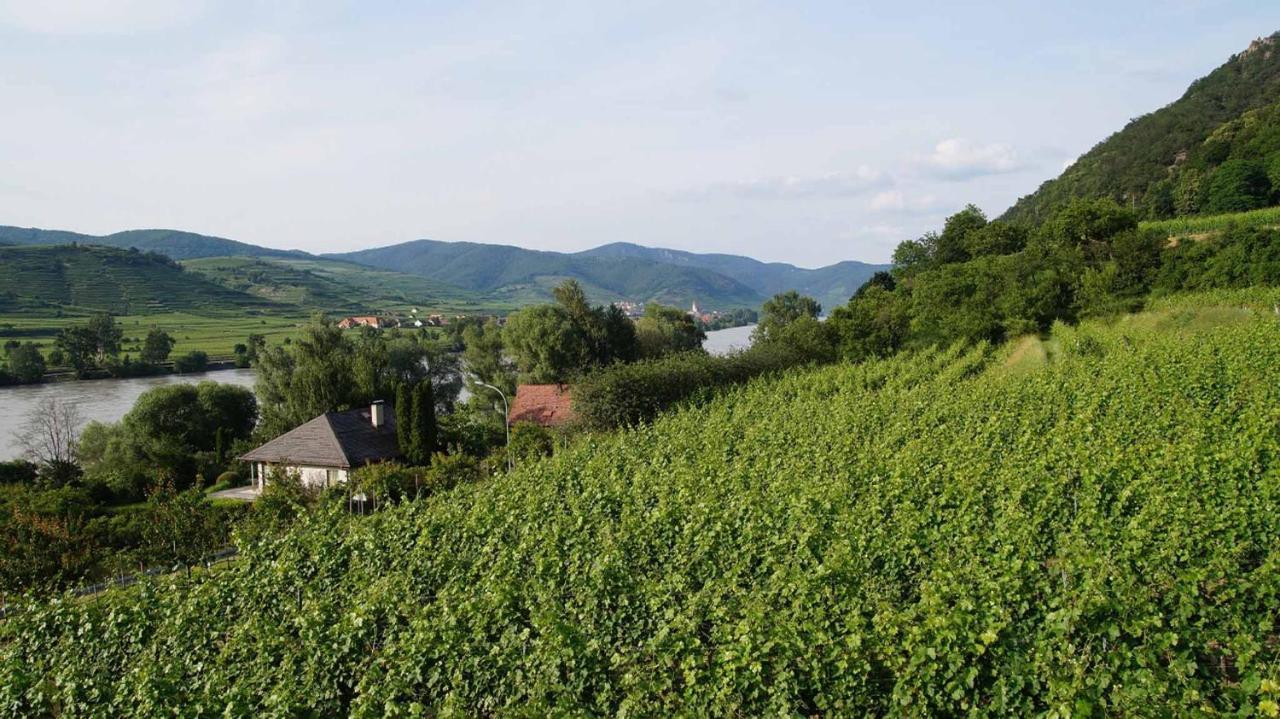 Weingut & Gaestezimmer Pammer Mitterarnsdorf Exterior photo